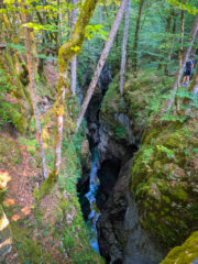 015-PXL_20260802_072212619
