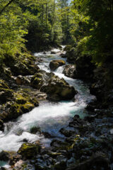031-WhatsApp Image 2026-08-04 at 21.21.54 (2)