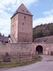 037-PXL_20260810_095635296