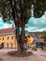 051-PXL_20260811_110954664