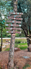 163-20260806_160642